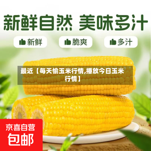 最近【每天愉玉米行情,播放今日玉米行情】
