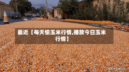 最近【每天愉玉米行情,播放今日玉米行情】-第3张图片