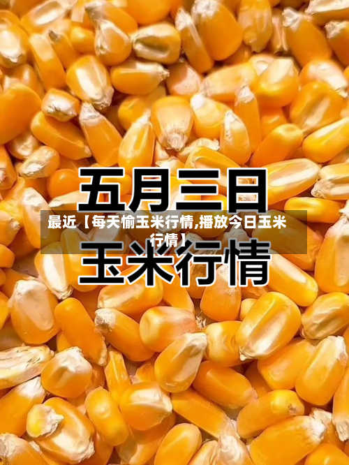 最近【每天愉玉米行情,播放今日玉米行情】-第2张图片