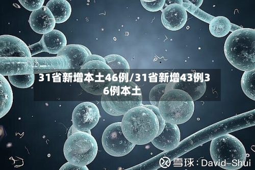 31省新增本土46例/31省新增43例36例本土