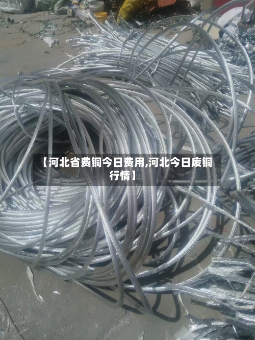 【河北省费铜今日费用,河北今日废铜行情】-第2张图片