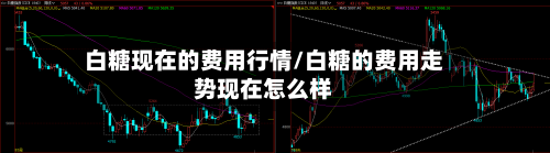 白糖现在的费用行情/白糖的费用走势现在怎么样