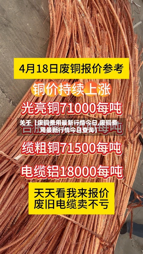 关于【废铜费用最新行情今日,废铜费用最新行情今日查询】-第3张图片