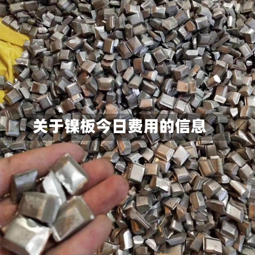 关于镍板今日费用的信息