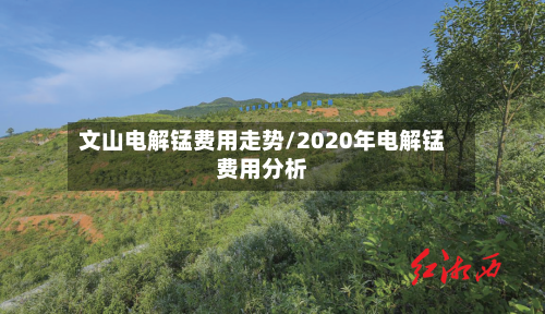 文山电解锰费用走势/2020年电解锰费用分析