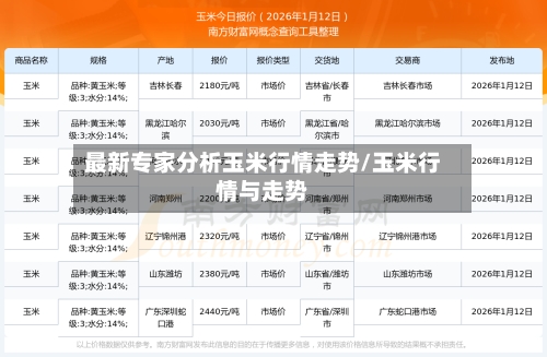 最新专家分析玉米行情走势/玉米行情与走势-第2张图片