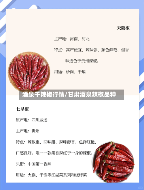 酒泉干辣椒行情/甘肃酒泉辣椒品种