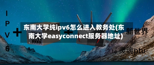 东南大学纯ipv6怎么进入教务处(东南大学easyconnect服务器地址)