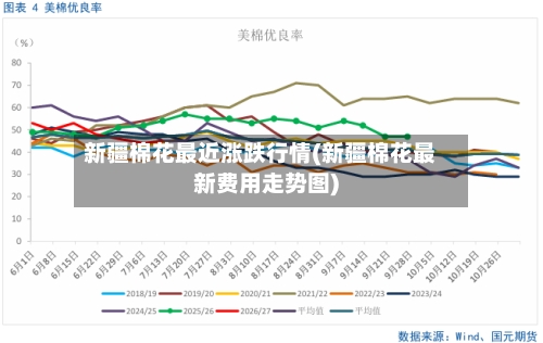新疆棉花最近涨跌行情(新疆棉花最新费用走势图)-第3张图片