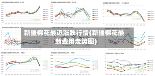 新疆棉花最近涨跌行情(新疆棉花最新费用走势图)-第2张图片