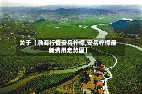 关于【渤海行情安岳柠檬,安岳柠檬最新费用走势图】-第3张图片
