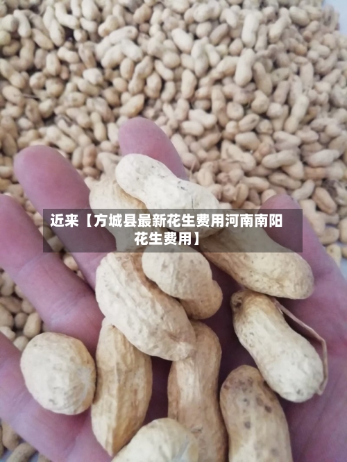 近来【方城县最新花生费用河南南阳花生费用】-第3张图片