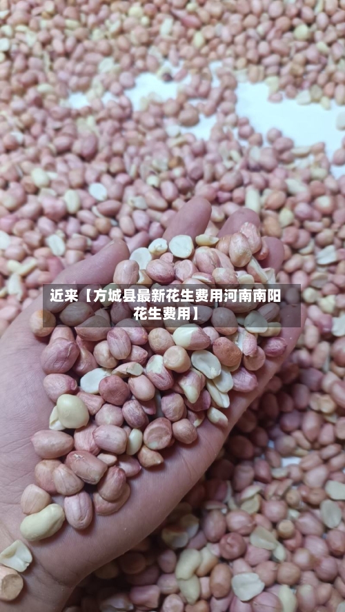 近来【方城县最新花生费用河南南阳花生费用】-第2张图片