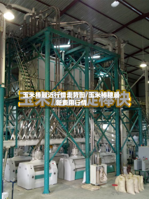 玉米棒最近行情走势图/玉米棒穗最新费用行情