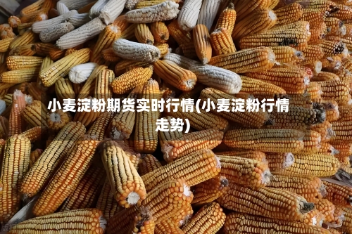 小麦淀粉期货实时行情(小麦淀粉行情走势)