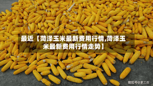 最近【菏泽玉米最新费用行情,菏泽玉米最新费用行情走势】-第3张图片