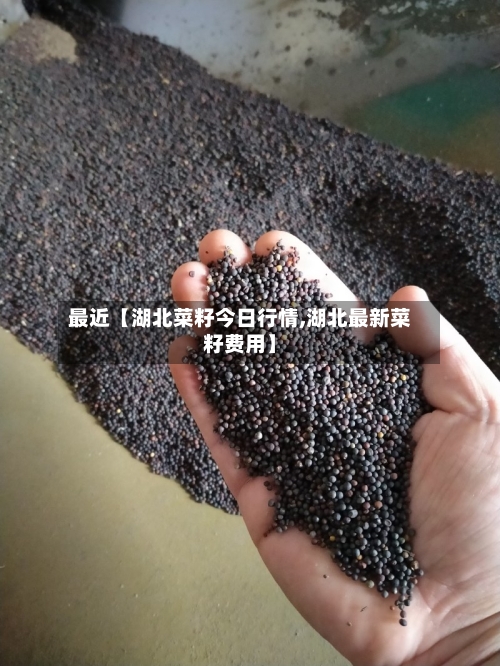 最近【湖北菜籽今日行情,湖北最新菜籽费用】