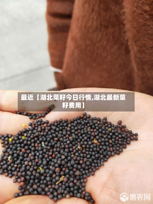 最近【湖北菜籽今日行情,湖北最新菜籽费用】-第2张图片