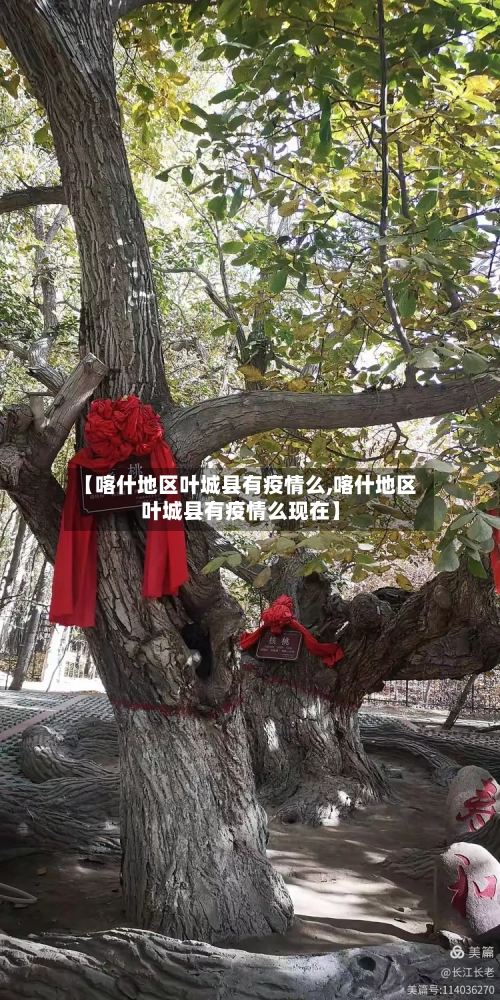 【喀什地区叶城县有疫情么,喀什地区叶城县有疫情么现在】-第2张图片