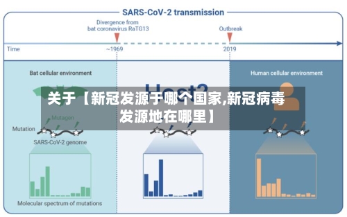 关于【新冠发源于哪个国家,新冠病毒发源地在哪里】-第3张图片