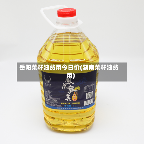岳阳菜籽油费用今日价(湖南菜籽油费用)
