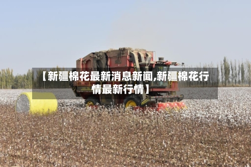 【新疆棉花最新消息新闻,新疆棉花行情最新行情】