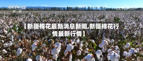 【新疆棉花最新消息新闻,新疆棉花行情最新行情】-第2张图片