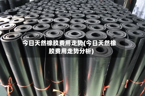 今日天然橡胶费用走势(今日天然橡胶费用走势分析)-第2张图片