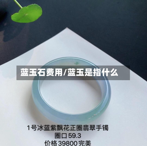 蓝玉石费用/蓝玉是指什么