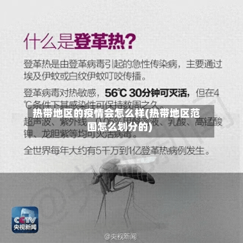 热带地区的疫情会怎么样(热带地区范围怎么划分的)-第3张图片