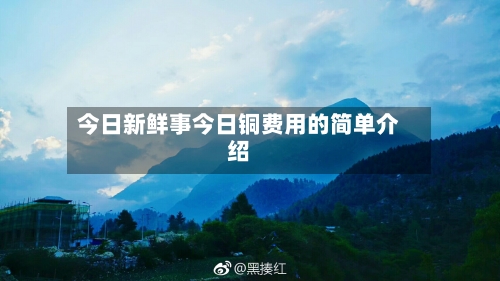 今日新鲜事今日铜费用的简单介绍