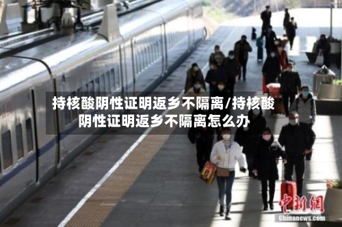 持核酸阴性证明返乡不隔离/持核酸阴性证明返乡不隔离怎么办
