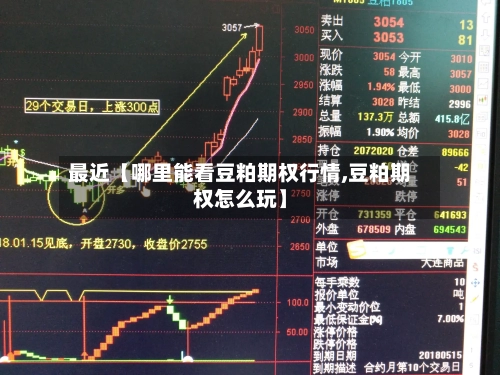 最近【哪里能看豆粕期权行情,豆粕期权怎么玩】-第2张图片