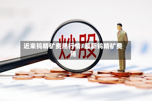 近来钨精矿费用行情/最新钨精矿费用-第2张图片