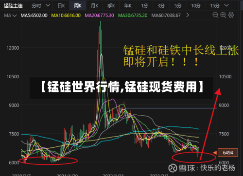 【锰硅世界行情,锰硅现货费用】
