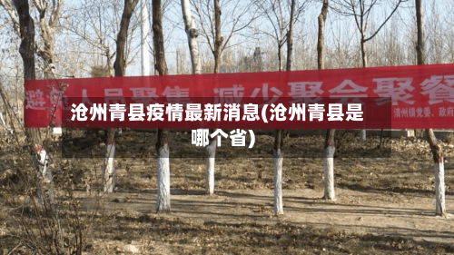 沧州青县疫情最新消息(沧州青县是哪个省)-第3张图片