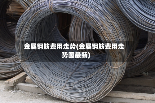 金属钢筋费用走势(金属钢筋费用走势图最新)-第2张图片