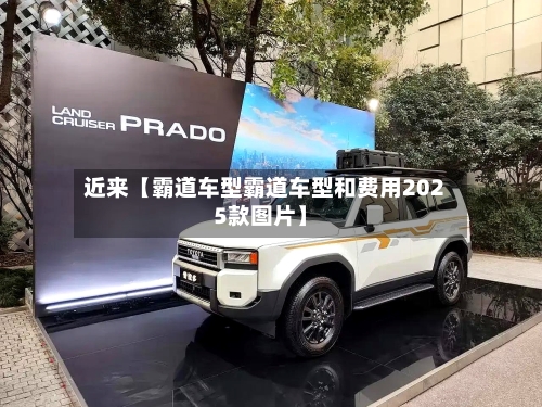 近来【霸道车型霸道车型和费用2025款图片】-第3张图片