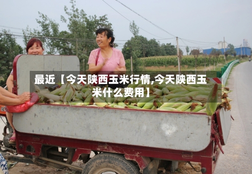 最近【今天陕西玉米行情,今天陕西玉米什么费用】-第2张图片