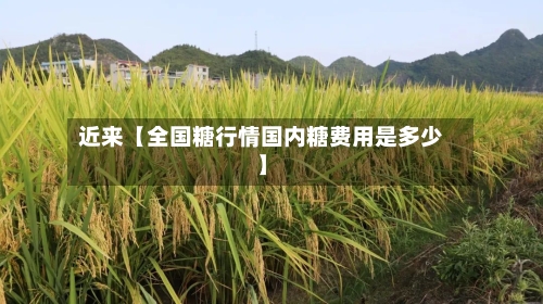 近来【全国糖行情国内糖费用是多少】