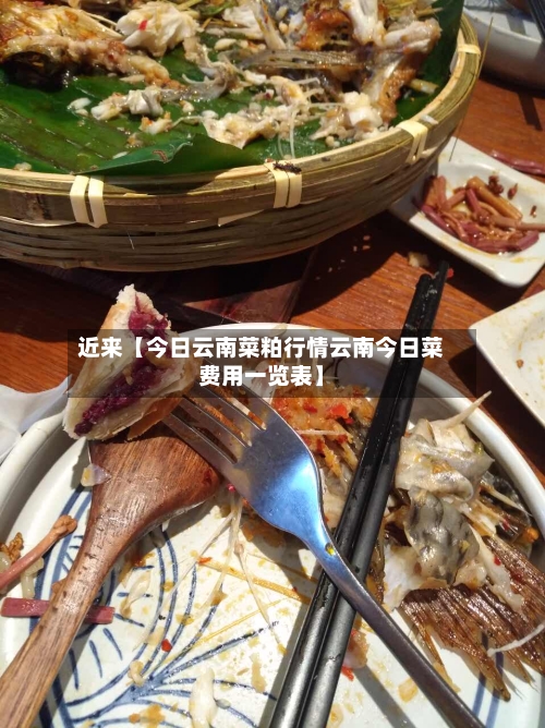 近来【今日云南菜粕行情云南今日菜费用一览表】