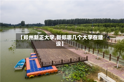 【郑州新正大学,新郑哪几个大学在建设】