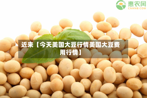 近来【今天美国大豆行情美国大豆费用行情】