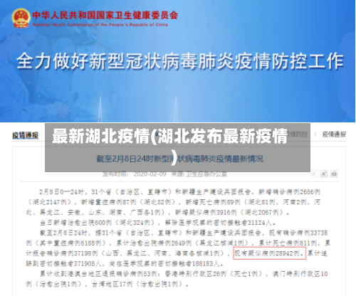 最新湖北疫情(湖北发布最新疫情)-第2张图片