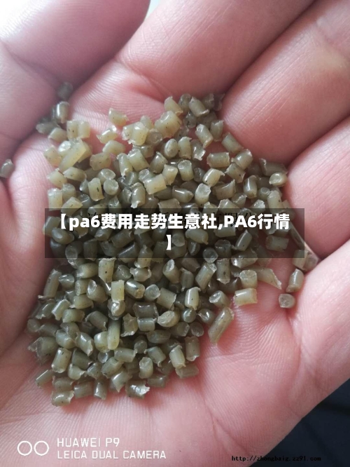 【pa6费用走势生意社,PA6行情】