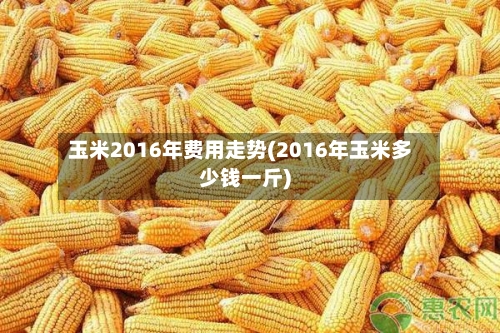 玉米2016年费用走势(2016年玉米多少钱一斤)