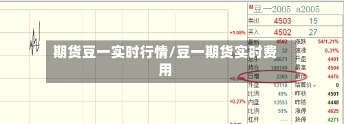 期货豆一实时行情/豆一期货实时费用