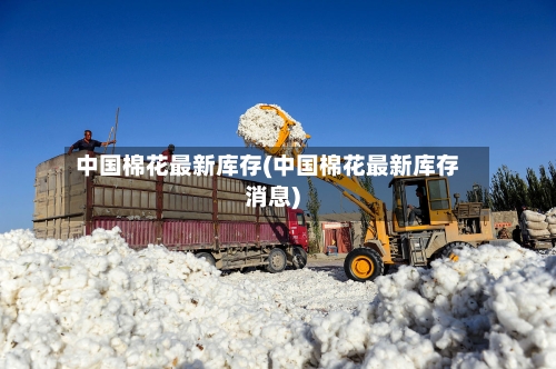 中国棉花最新库存(中国棉花最新库存消息)-第3张图片