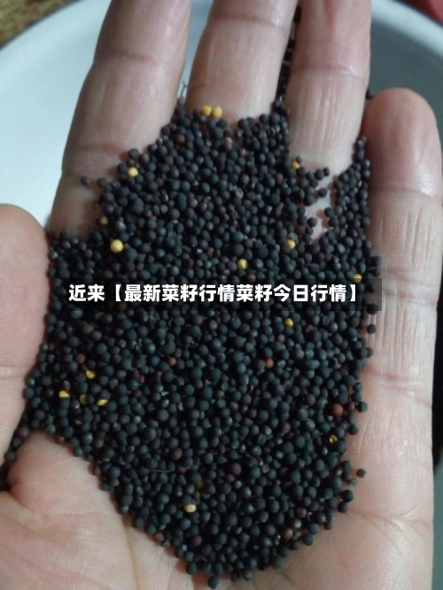 近来【最新菜籽行情菜籽今日行情】-第2张图片