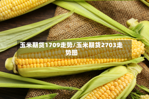 玉米期货1709走势/玉米期货2703走势图